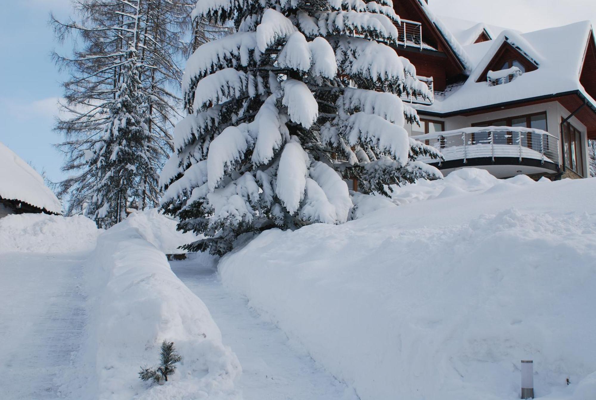 Villa Park Bukowina Tatrzańska Exterior foto